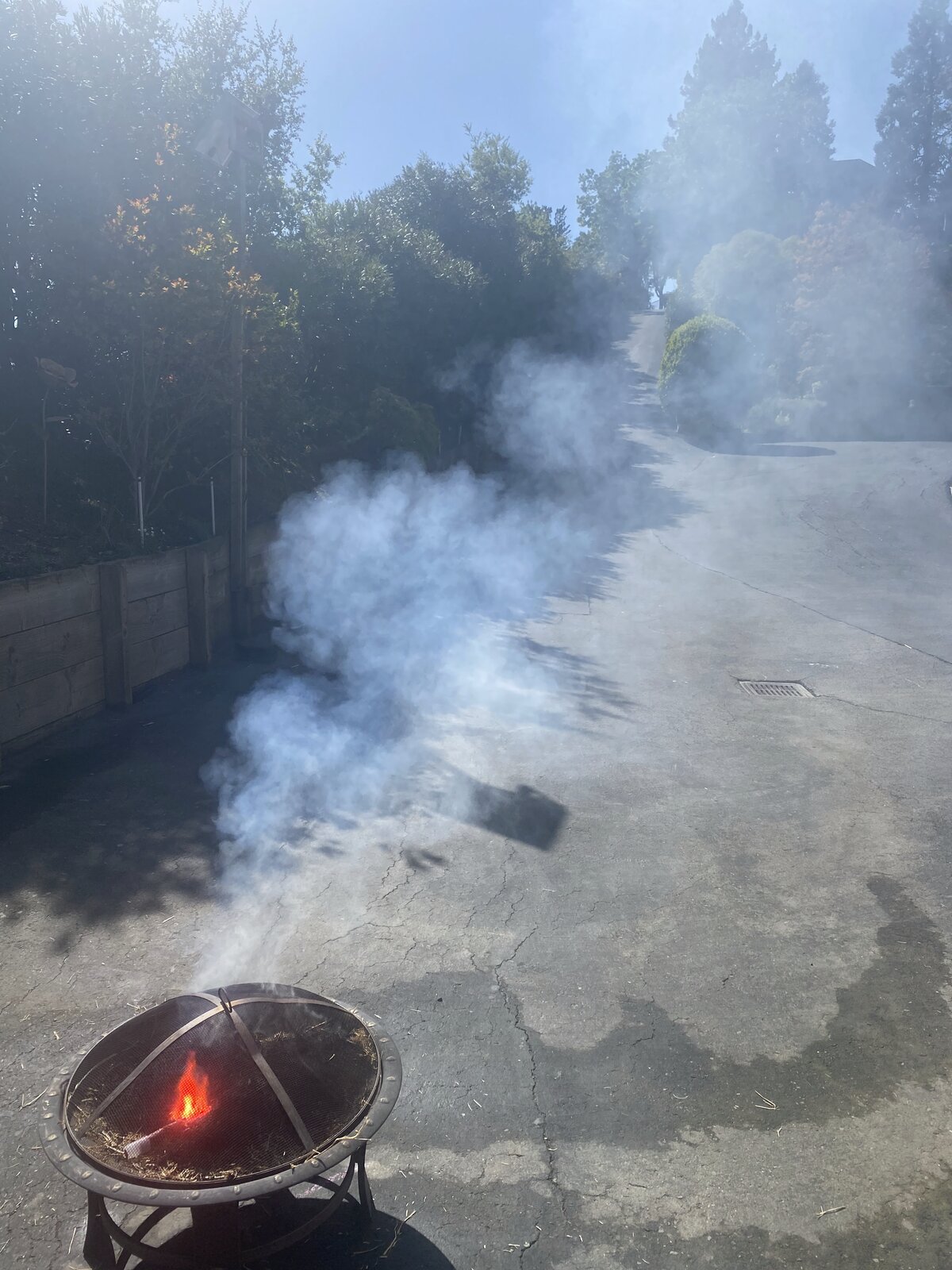 A metal fire pan on a driveway with orange flames and a large white smoke plume drifting up the driveway — a controlled test fire.